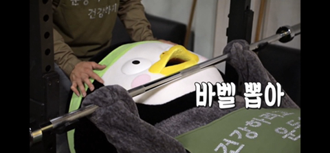 펭귄과 대머리가 운동하는 헬스장이 있다?!.jpg | 인스티즈