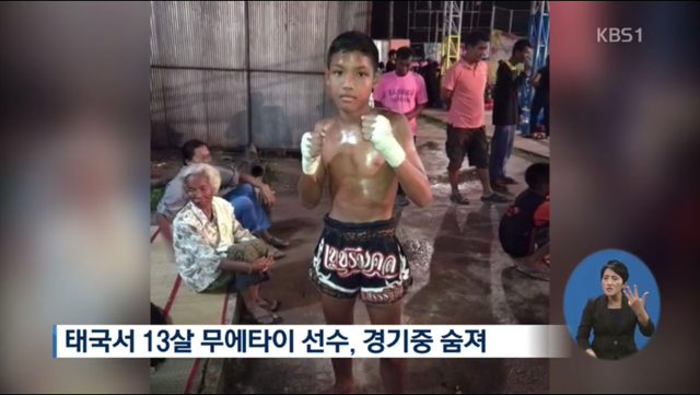애들을 돈벌이로 경기에 내보낸다는 태국 (13살 소년 사망) | 인스티즈