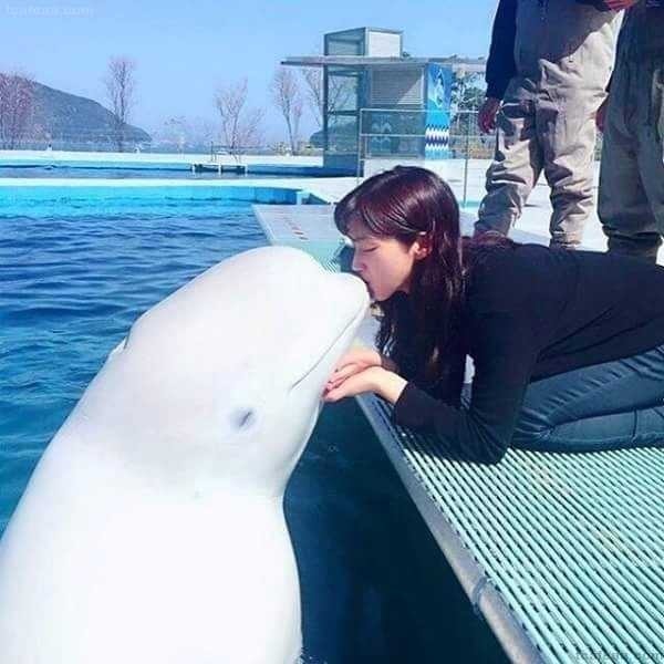 남녀차별하는 돌고래 | 인스티즈