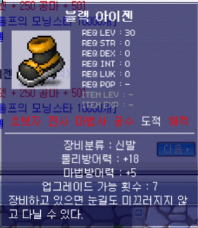 [메이플스토리] 과거 인기 많았던 아이템들 | 인스티즈
