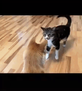 벨튀의 달인 | 인스티즈