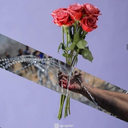 한번쯤은 현실을 생각하게 하는 초예술 사진 | 인스티즈