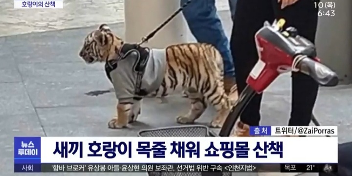 최시원 과거 좋아하는 인물 논란 해명과 이해하는 입장.jpg | 인스티즈