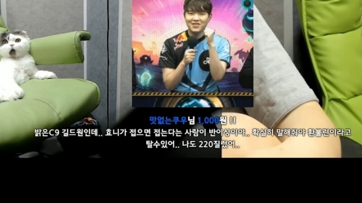 가디언 테일즈 접는 대기업 스트리머.jpg | 인스티즈