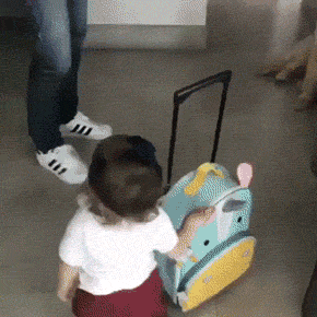 가족여행가서 삐진댕댕이 | 인스티즈