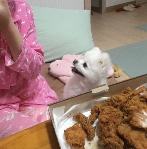 ???: 야야 그거 한입 먹는다고 죽냐 ㅋㅋㅋ | 인스티즈