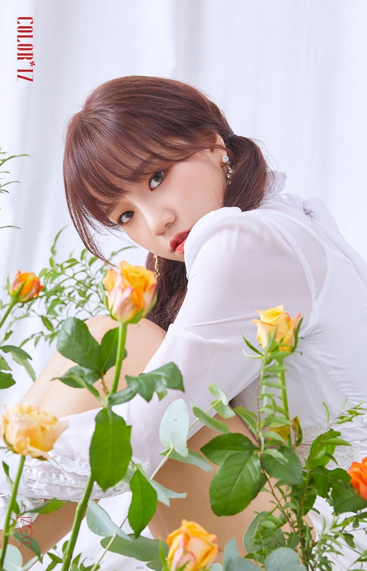 유리 사쿠라 원영 | 인스티즈