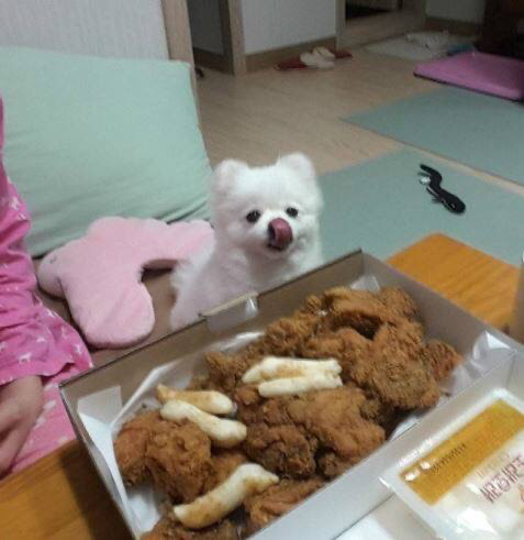 ???: 야야 그거 한입 먹는다고 죽냐 ㅋㅋㅋ | 인스티즈