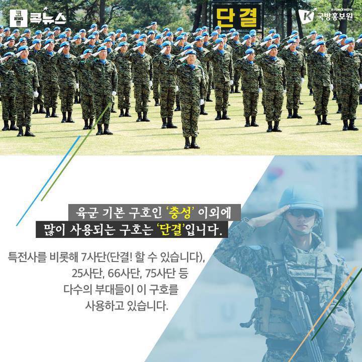 군대 부대별 다양한 경례 구호 | 인스티즈