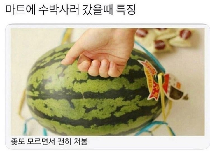 수박 사러갔을때 특징.JPG | 인스티즈