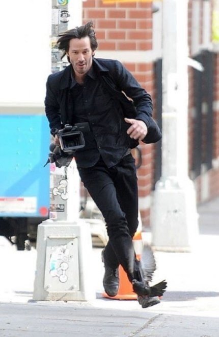 파파라치 카메라들고 도망가는 키아누리브스 | 인스티즈