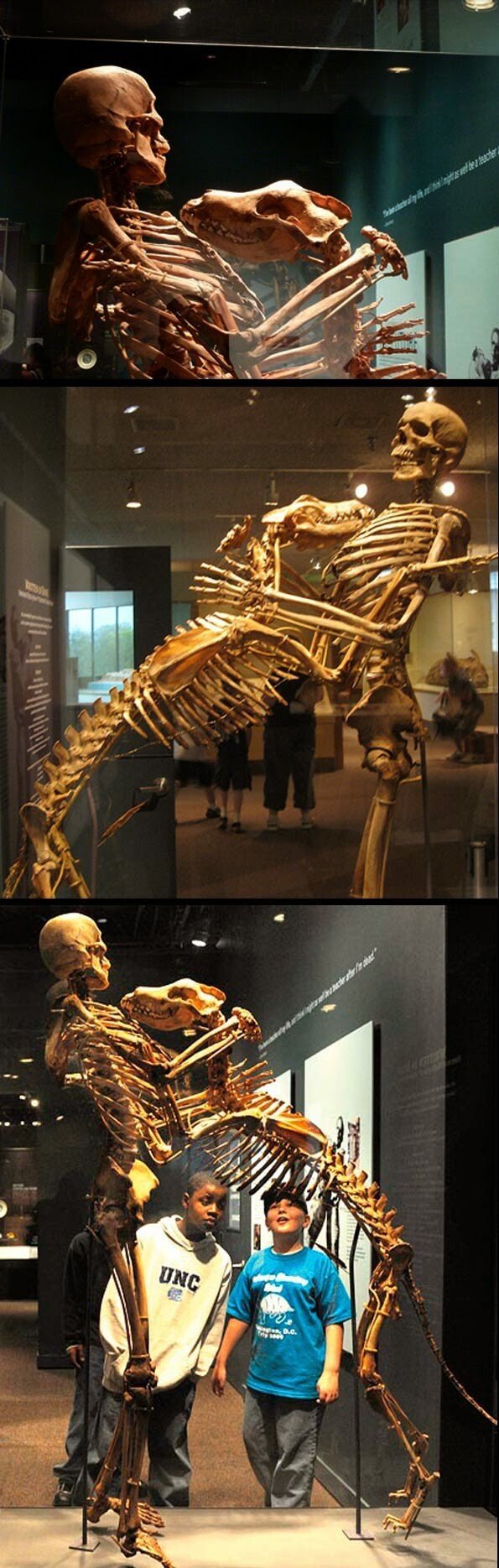 자신의 시신을 기부한 학자.JPG | 인스티즈