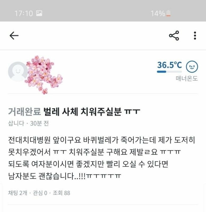 당근마켓에서 벌레 잡아준 후기 | 인스티즈