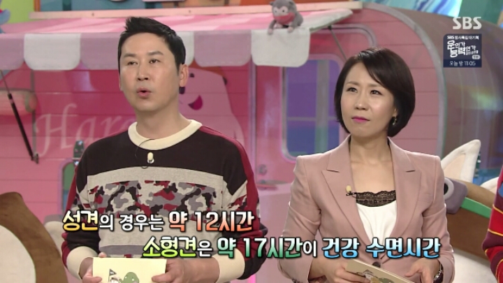 댕댕이의 건강 수면시간 | 인스티즈