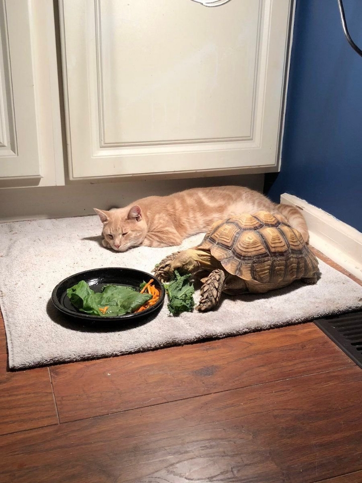 너 밥 다먹으면 같이 놀러가자.jpg | 인스티즈