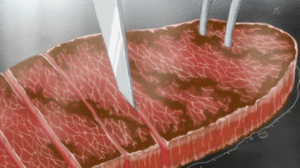 애니메이션 음식들 | 인스티즈