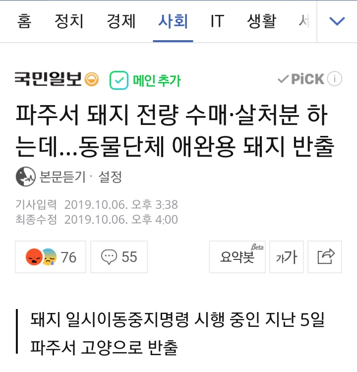 돼지열병이 집중적으로 발생한 파주에서 애완용 돼지 반출한 동물단체.news | 인스티즈