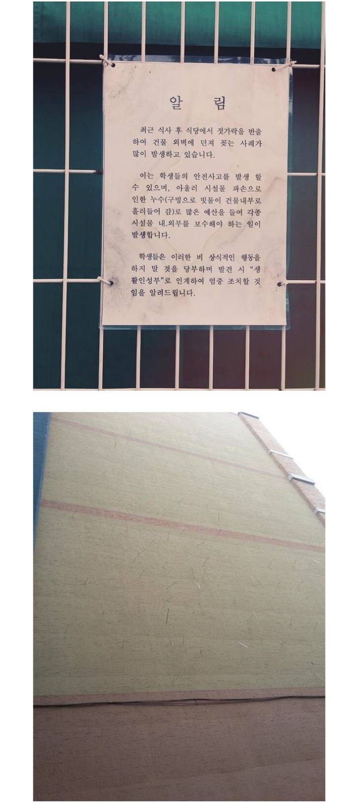 흔한 반도의 닌자학교.jpg | 인스티즈