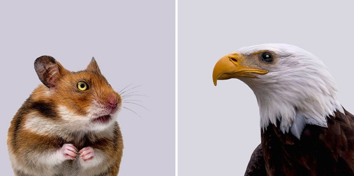 눈매의 중요성.JPG | 인스티즈