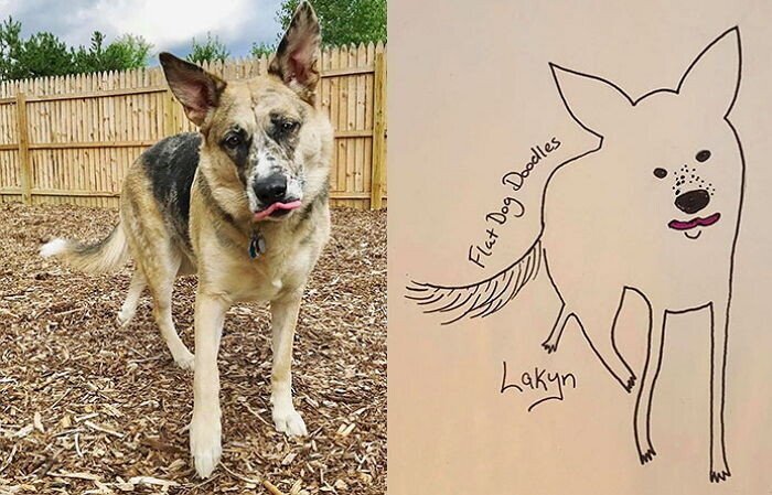 너무 대충 그려줬다는 말에 발끈한 주인이 공개한 '실제' 사진 | 인스티즈