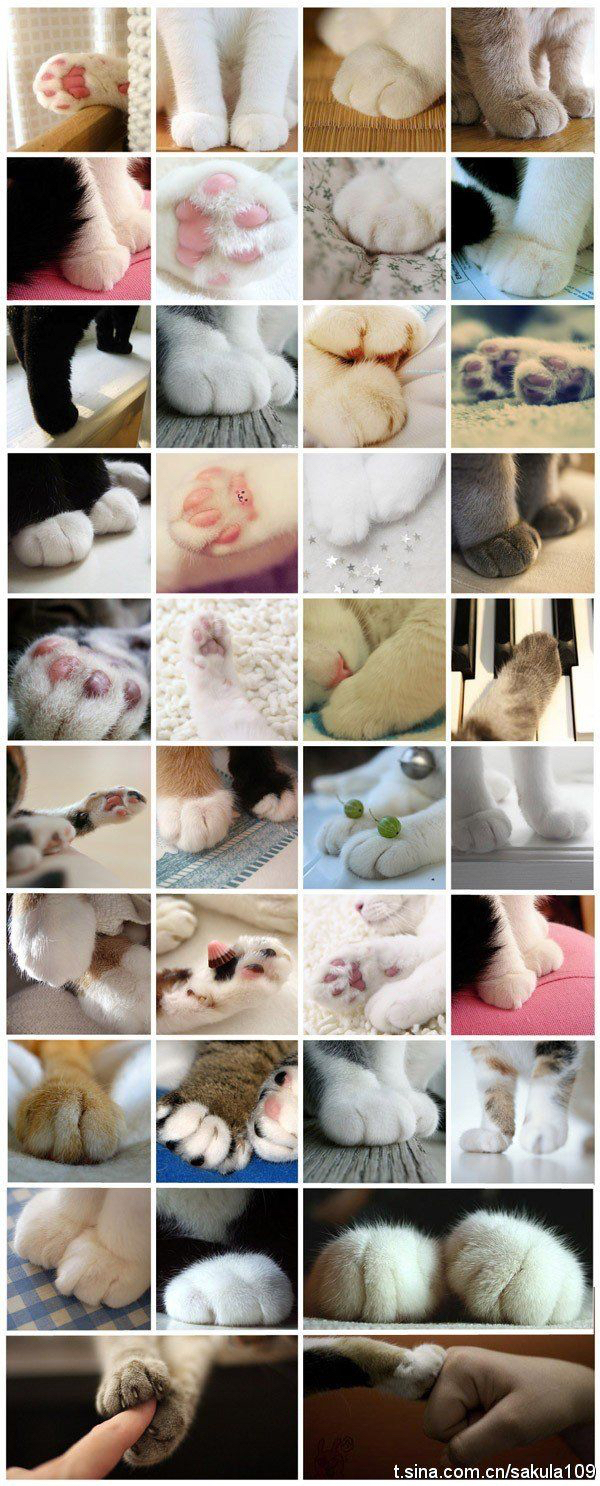 발 페티쉬 있는 사람이 좋아할만한 짤.jpg | 인스티즈