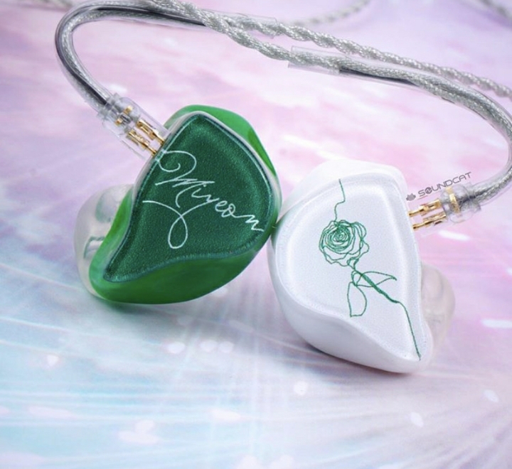 아이돌들 인이어.jpg | 인스티즈