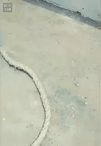 인도 노가다 ㅎㄷㄷ | 인스티즈