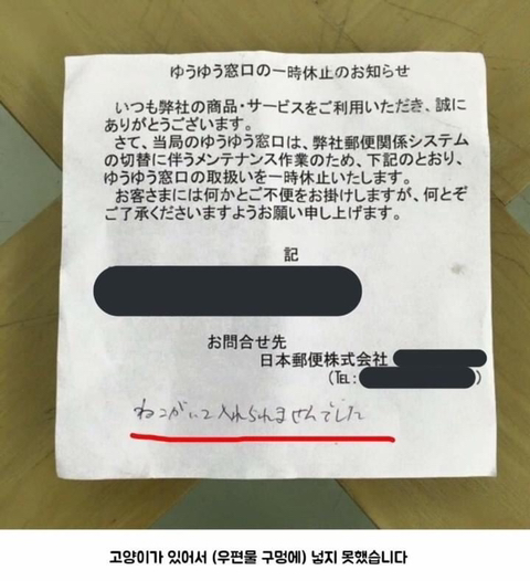 우편배달에 실패한 이유 | 인스티즈