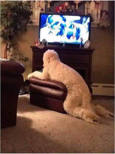 05b63bf3a78d925f46d9077a04d03918faa3835b