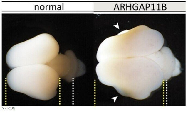금기에 다가간 생명실험 | 인스티즈