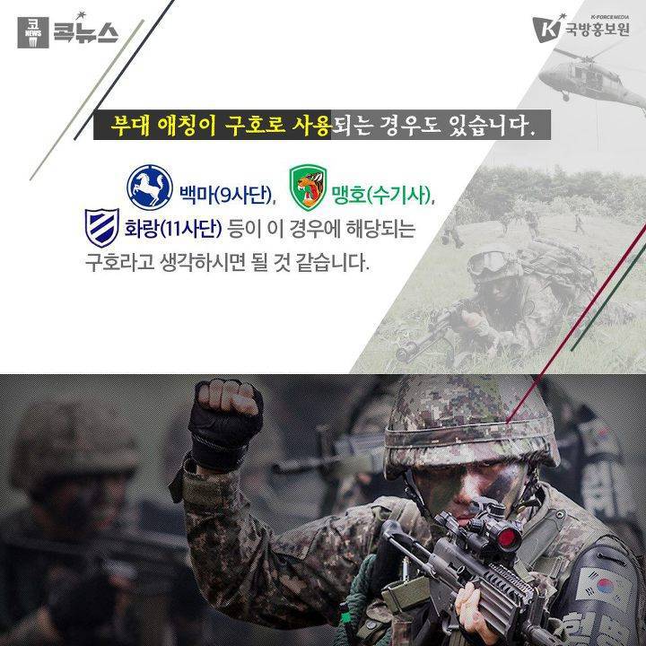 군대 부대별 다양한 경례 구호 | 인스티즈