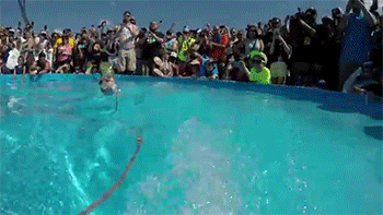 수상스키 고인물 다람쥐 | 인스티즈