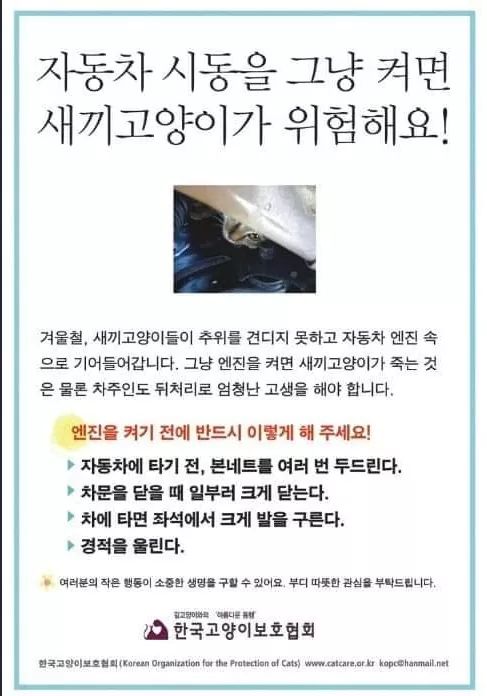 겨울철 자동차 시동 조심해야하는 이유 | 인스티즈