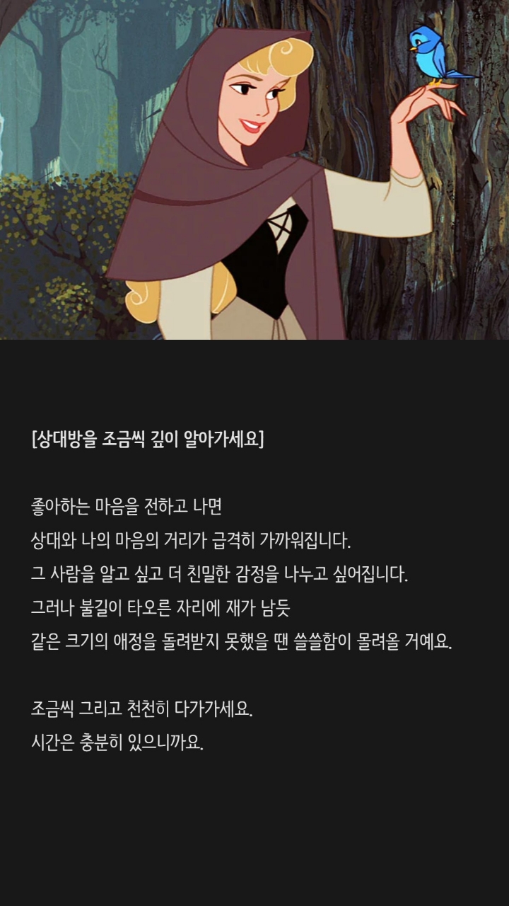 디즈니공주들이 전하는 위로와 용기 메세지 | 인스티즈