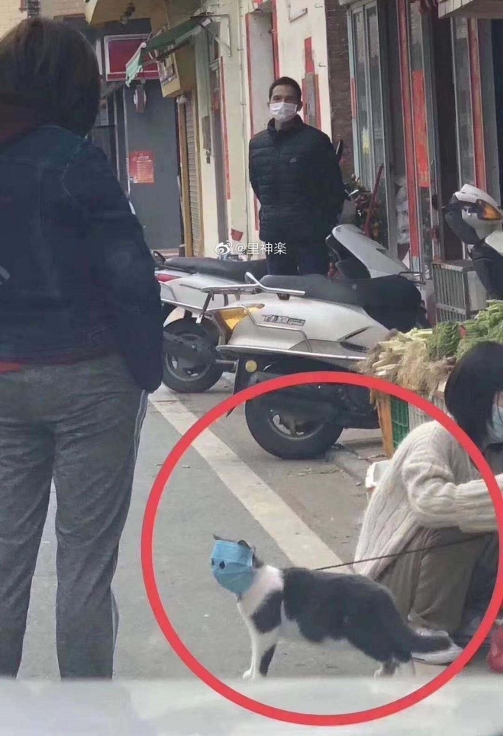 일존 피규어 장인 신작 | 인스티즈
