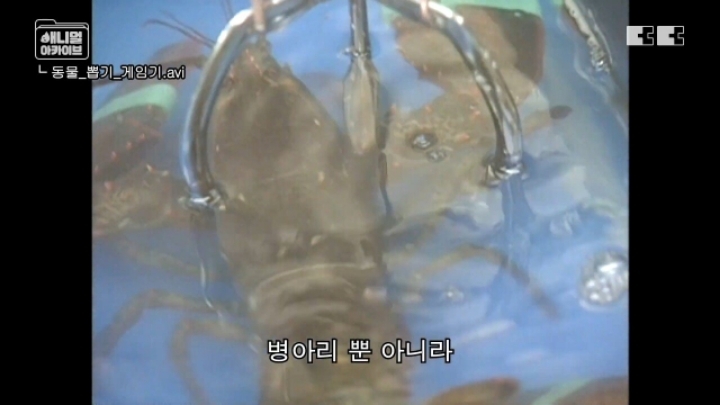 잼민이들은 모르는 저세상 인형뽑기 ㄷㄷㄷㄷ | 인스티즈