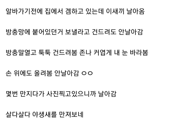 다이나믹 편의점 갤러리... | 인스티즈