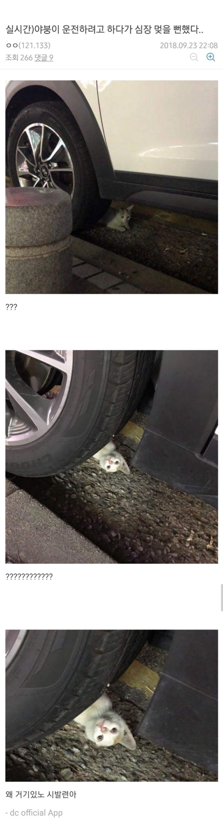 차 빼려다 심장멎을뻔한 야갤러 | 인스티즈