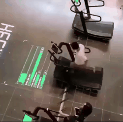 헬스장에 놔두면 남자들이 환장할 거 같은 기구.gif | 인스티즈