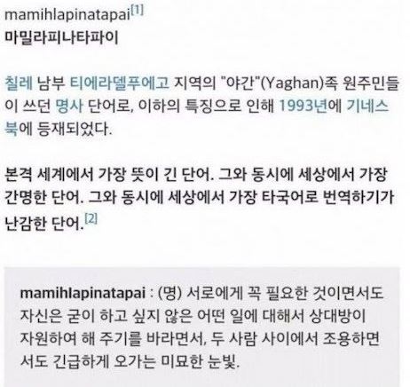 뜻이 가장 긴 단어 | 인스티즈