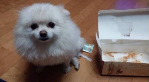 ???: 야야 그거 한입 먹는다고 죽냐 ㅋㅋㅋ | 인스티즈