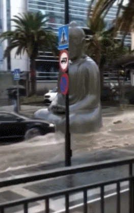 절이 싫으면 중이 떠나라.gif | 인스티즈