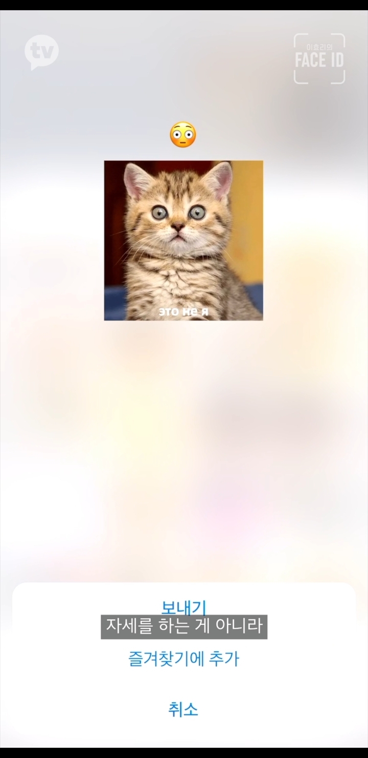 거사를 위해 많은 준비를 하고 있는 이효리.jpg | 인스티즈