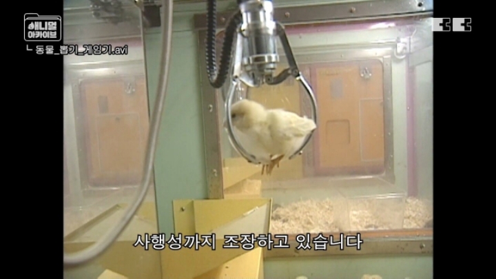 잼민이들은 모르는 저세상 인형뽑기 ㄷㄷㄷㄷ | 인스티즈