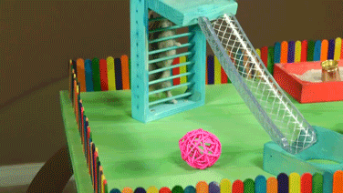 햄찌전용 놀이터 | 인스티즈