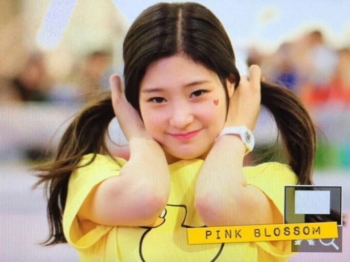 다이아 5주년 기념 우주에서 가장 청순하고 사랑스러운 정채연 님! | 인스티즈