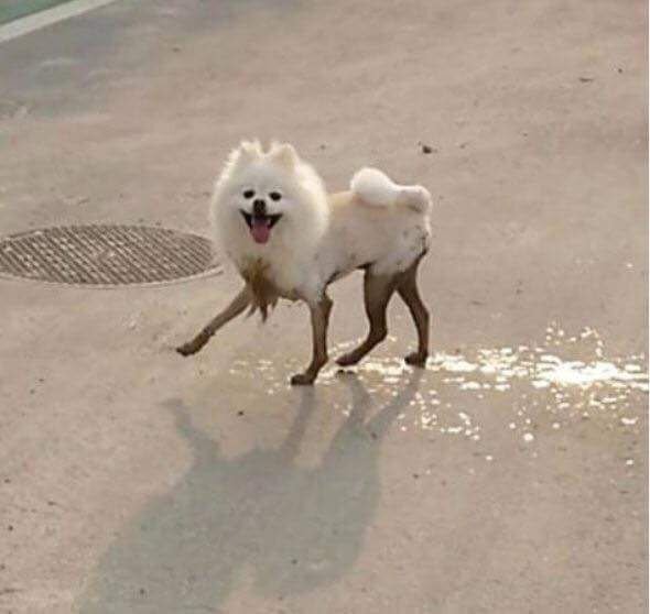 검정 스타킹 | 인스티즈