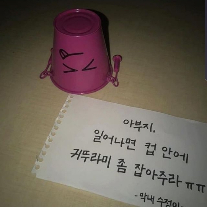 막내딸 수정이의 간절한 부탁.jpg | 인스티즈