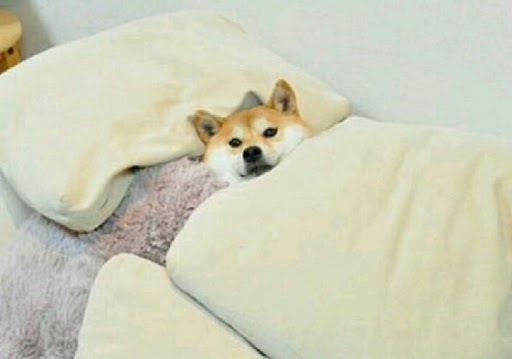 자취하려고 나간 사람 중 반응 극과 극인 것........jpg | 인스티즈