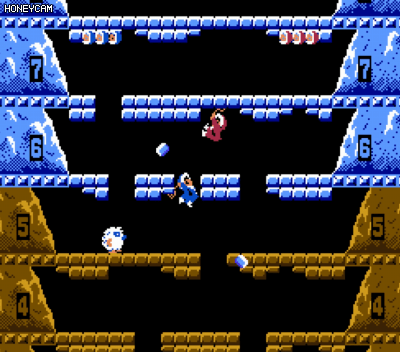 시조새들만 안다는 게임 | 인스티즈